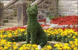 Topiary2.jpg